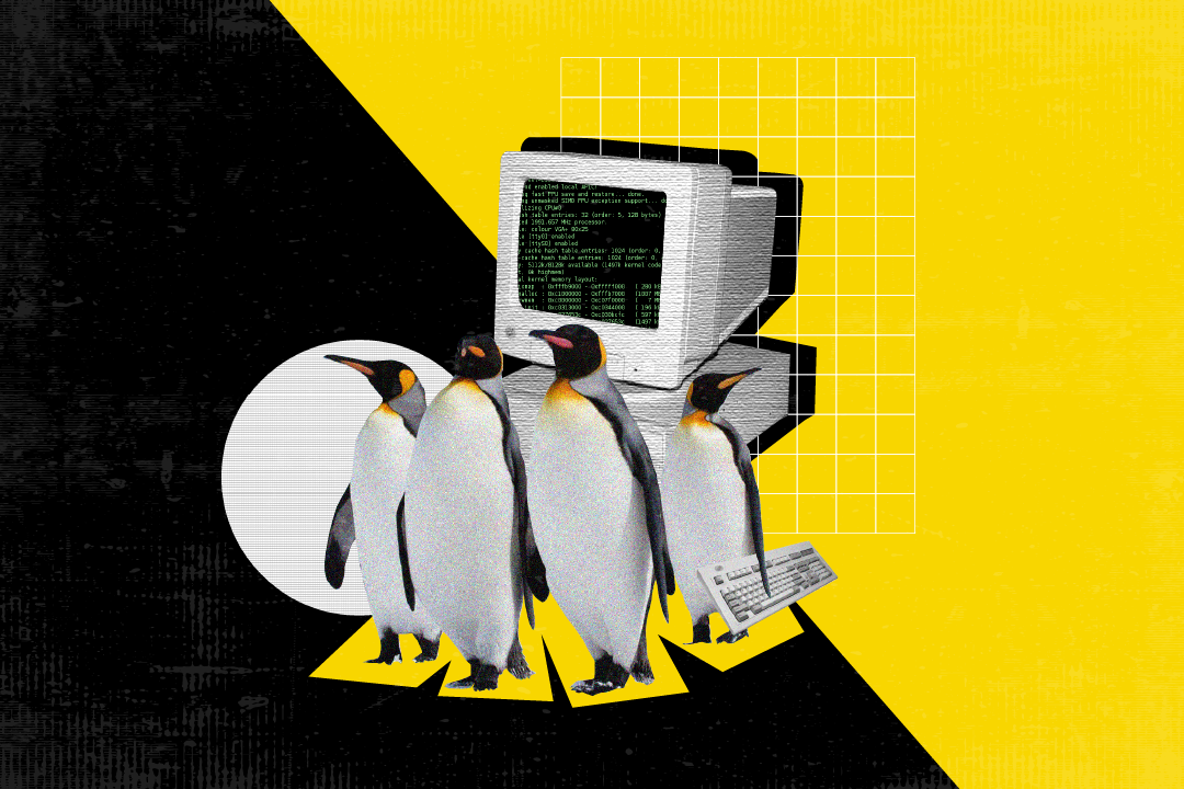 El Rol del Software Libre en la Seguridad Digital