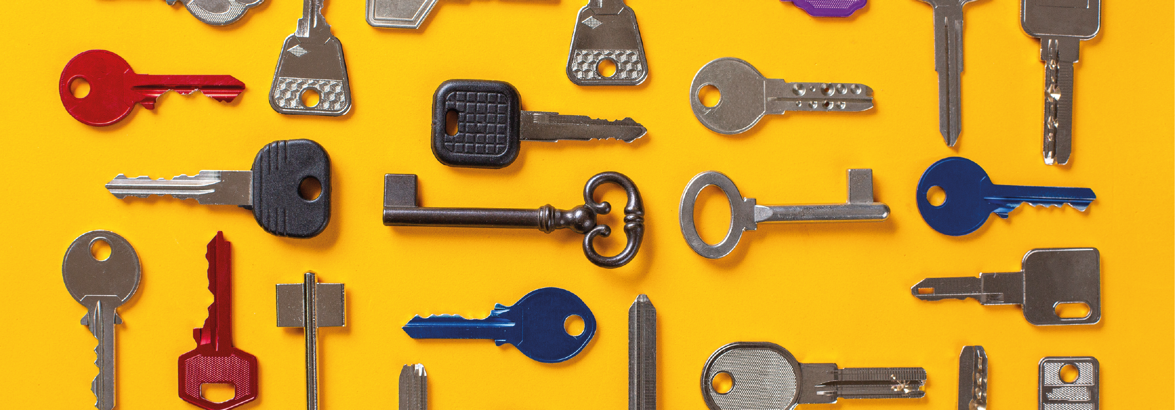 CAD technical director joins OpenPGP Key Server board